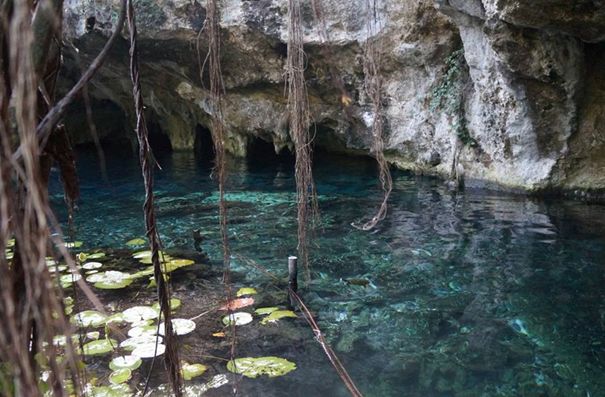Gran Cenote w Meksyku Gran Cenote w Meksyku